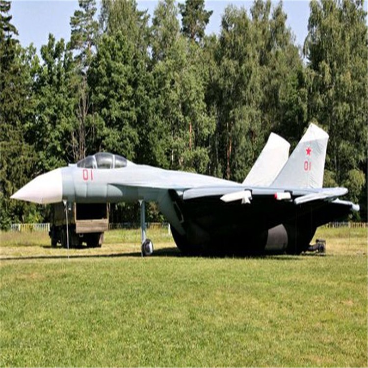 肃北军事飞机用品气模制造